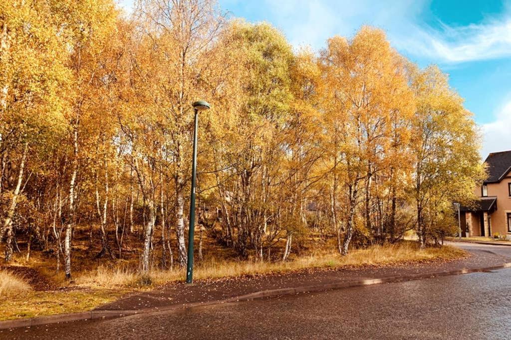 Cairngorm Cottage أفيمور المظهر الخارجي الصورة